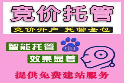 竞价托管服务深度解析：企业如何借助其提升业绩？
